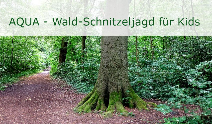 AQUA- Wald-Schnitzeljagd für Kidner