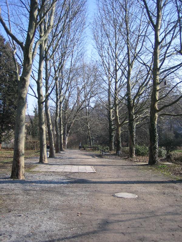 Alter Botanischer Garten