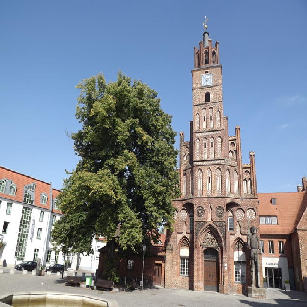 Altstädtisches Rathaus Brandenburg an der Havel in Brandenburg an der Havel