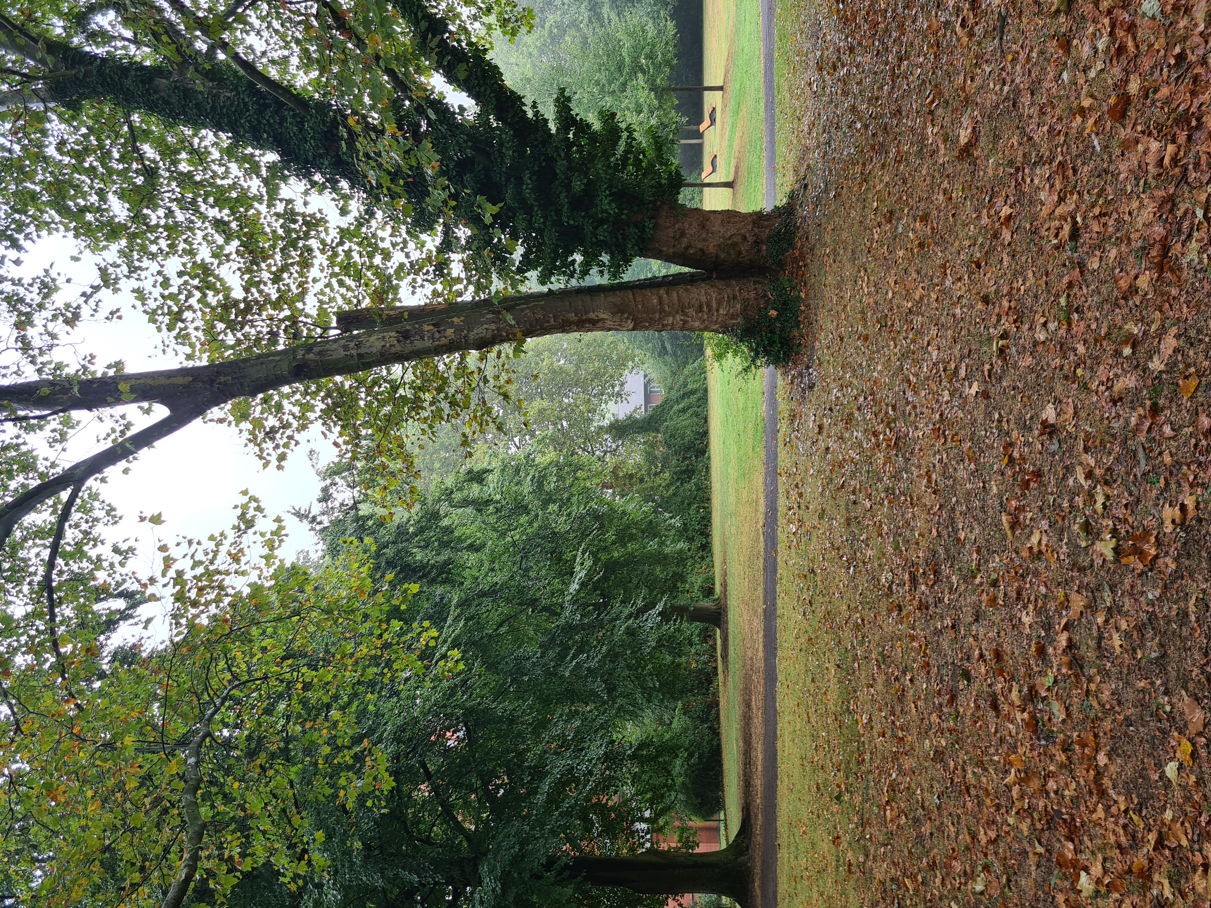 Appolonia-Pfaus-Park in Bochum