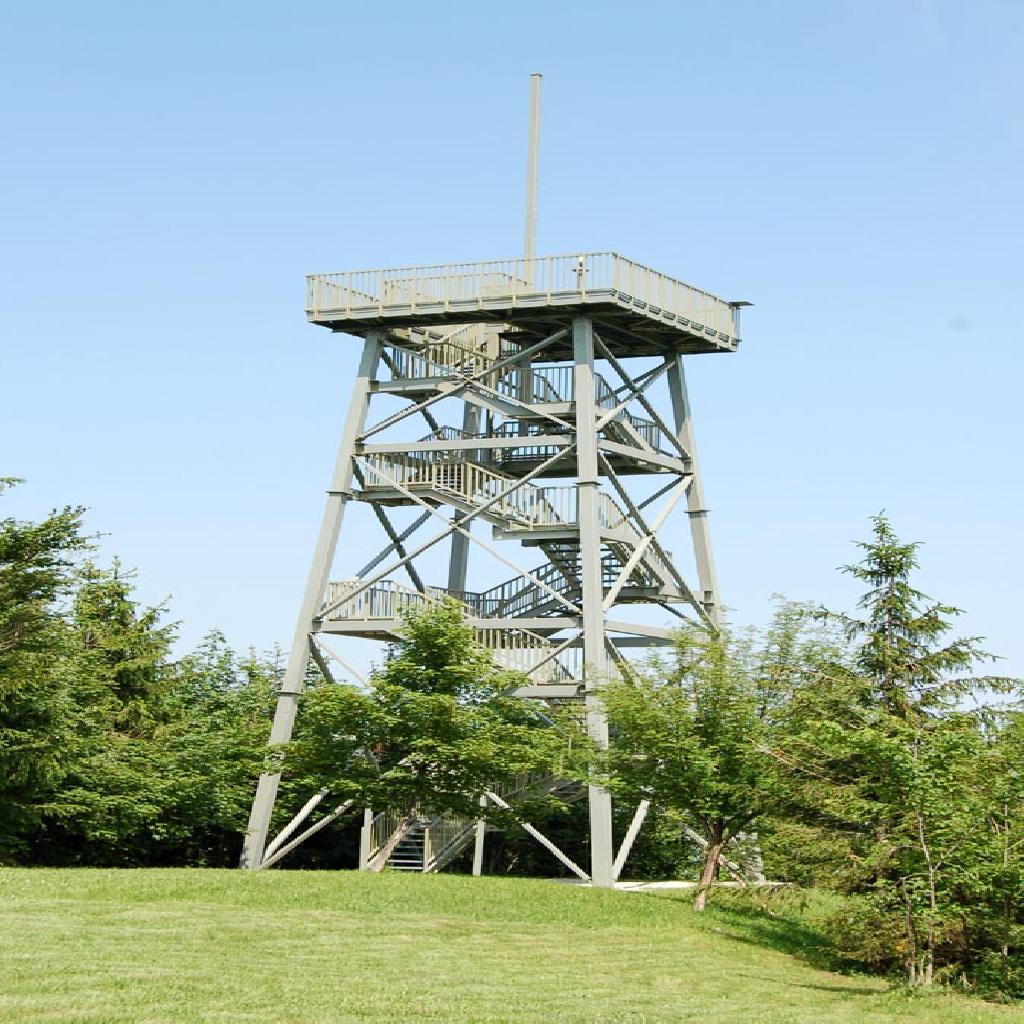 Aussichtsturm Prochenberg