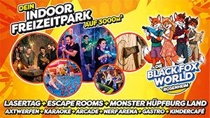 BLACK FOX NERF ARENA