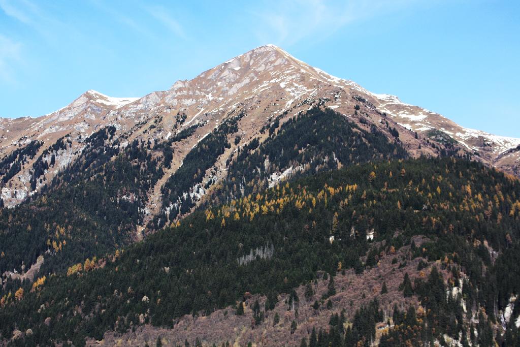 Gamskarkogelhütte