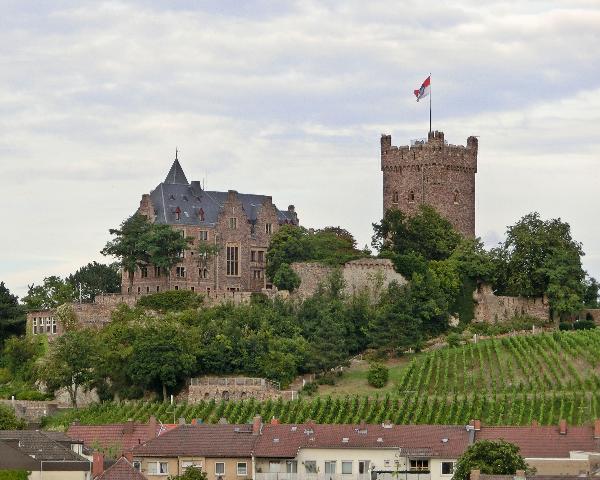 Bergfried Burg Klopp in Bingen am Rhein