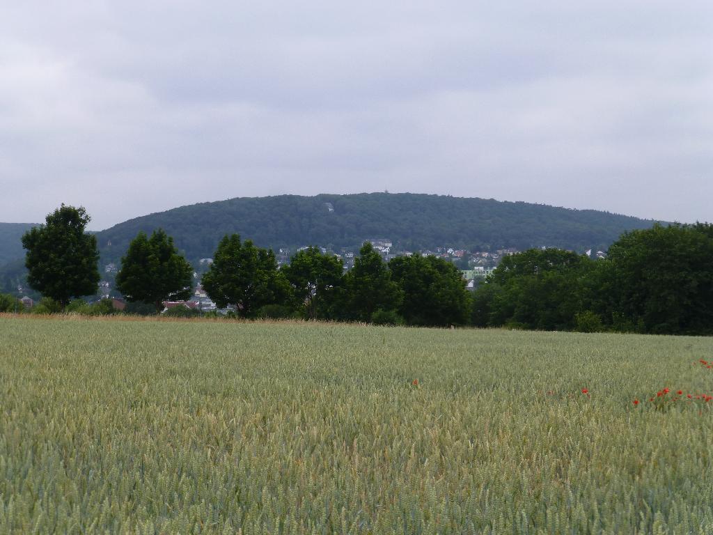 Bergkapelle Hofheim (Kapellenberg)