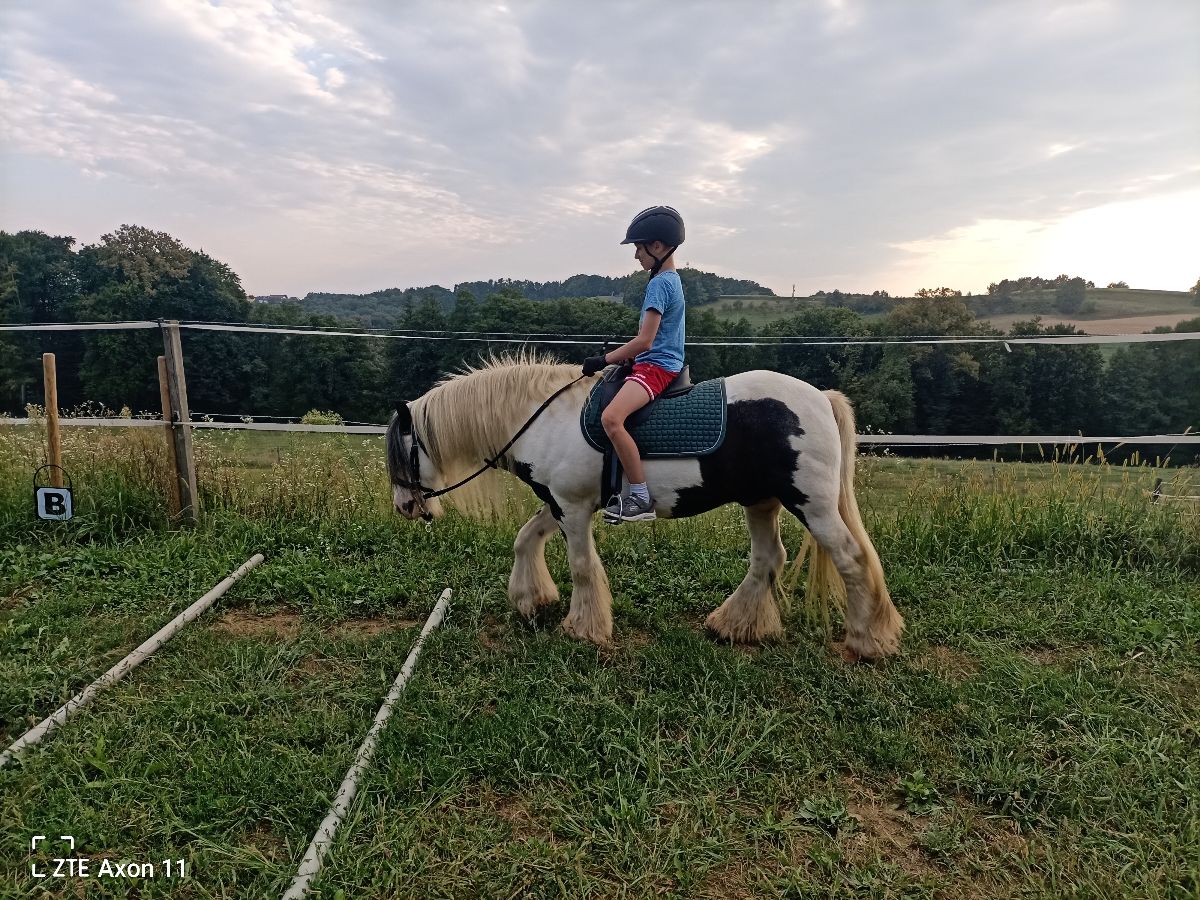 Bia's Ponyspaß in Edelsbach bei Feldbach