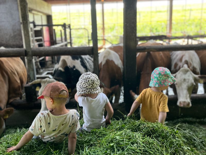 Biohof Jockel – Kindergeburtstag auf dem Bauernhof in Steinau an der Straße