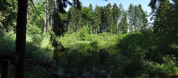 Bodenloser See in Empfingen