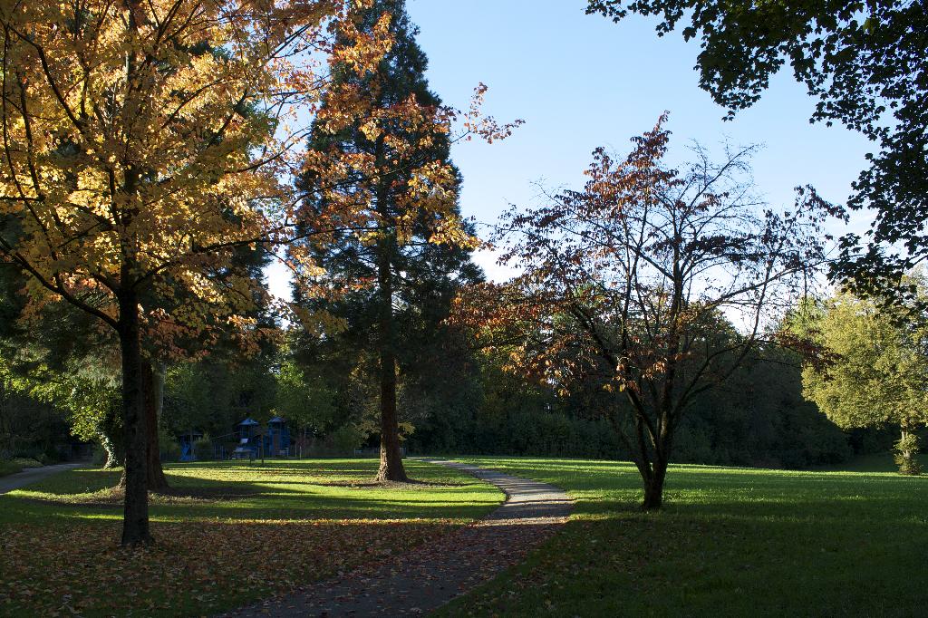 Büelpark