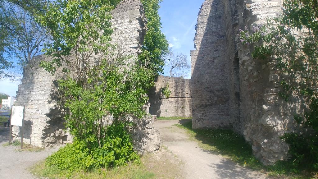 Burg Hofen