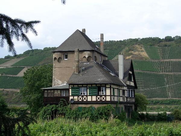 Burg Osterspai in Dachsenhausen