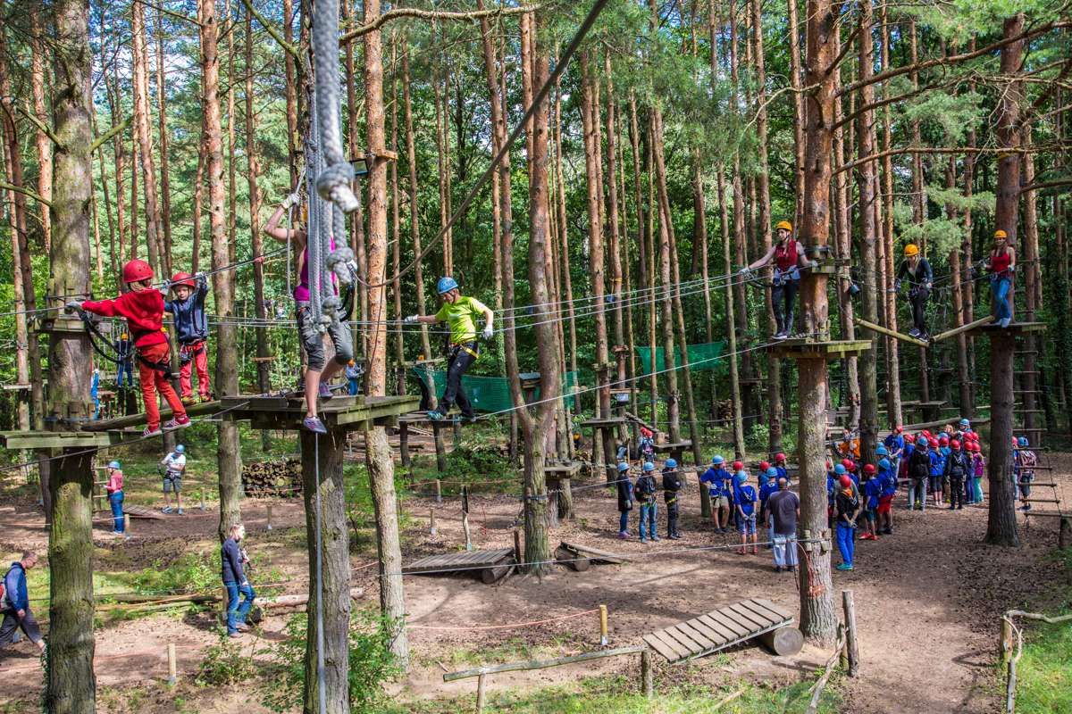 CLIMB UP! - Kletterwald Strausberg in Strausberg