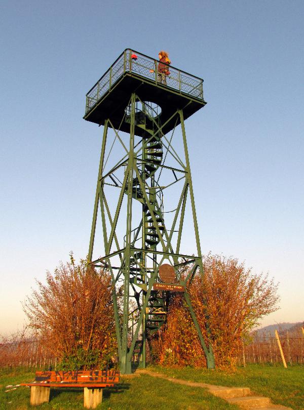 Carl-Netter-Turm in Bühl