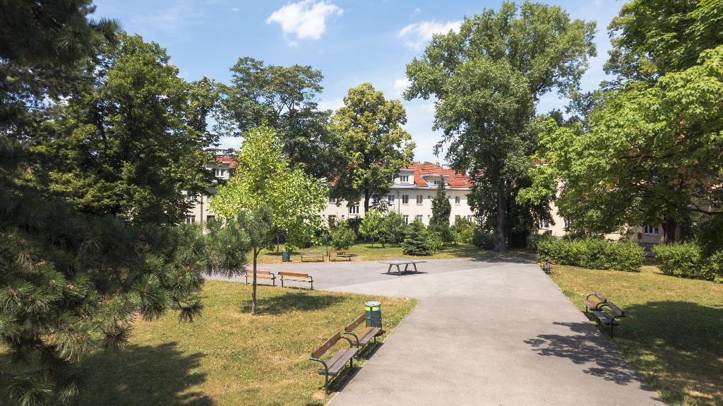 Carsonypark in Wien