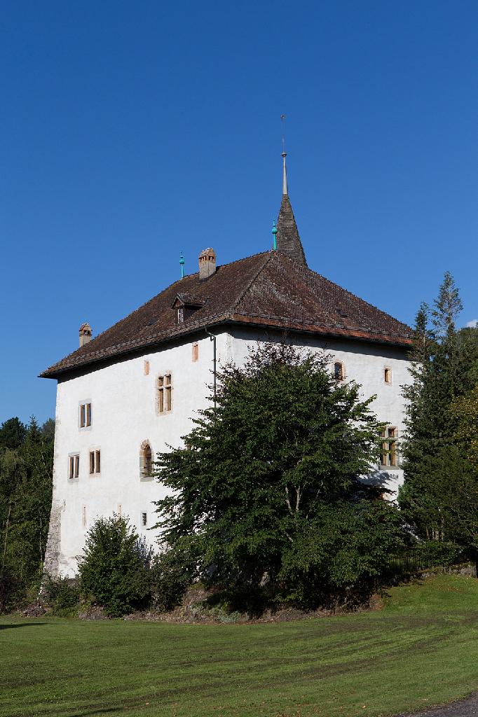 Château d'En-Bas in Pringy