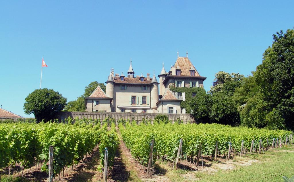Château du Crest in Jussy