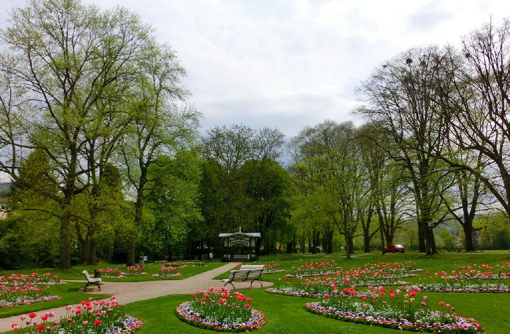 Dahliengarten in Baden-Baden