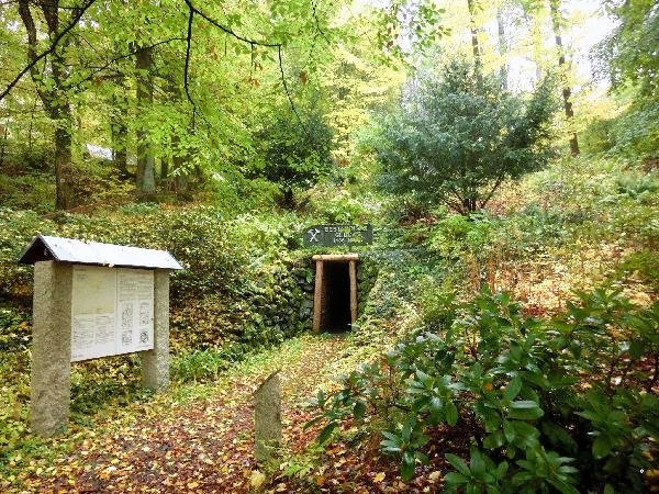 Dendrologischer Garten Rotherspark in Bad Berneck im Fichtelgebirge