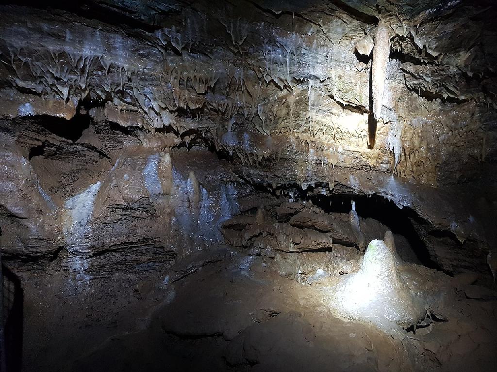Drachenhöhle Syrau in Rosenbach/Vogtland