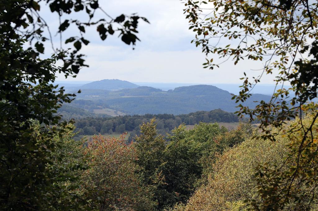 Dreistelzblick in Riedenberg