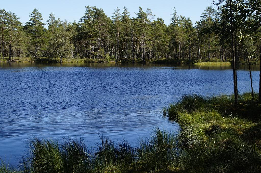 Dümmersee in Stralendorf