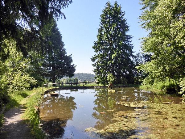 Dürrbecks Landschaftsgarten