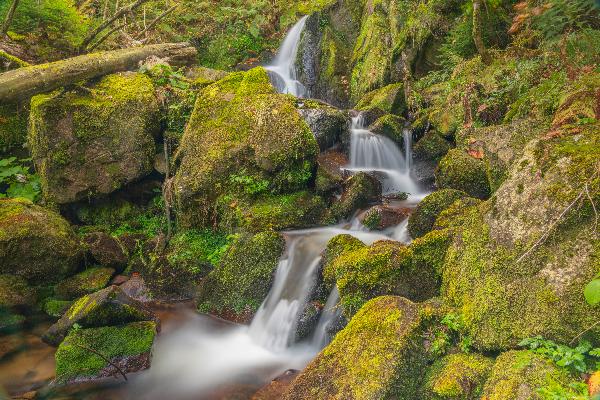 Elzfälle in Schonach im Schwarzwald