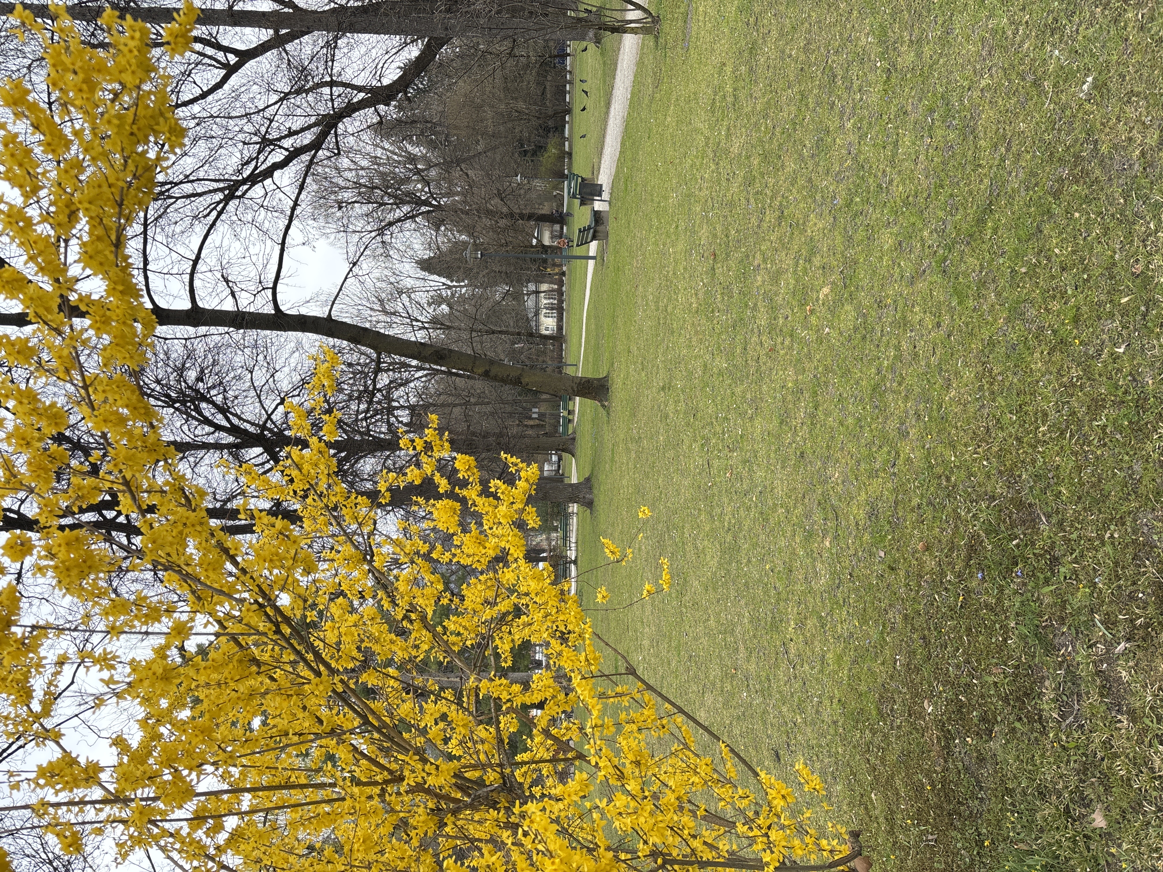 Englischer Garten in Innsbruck