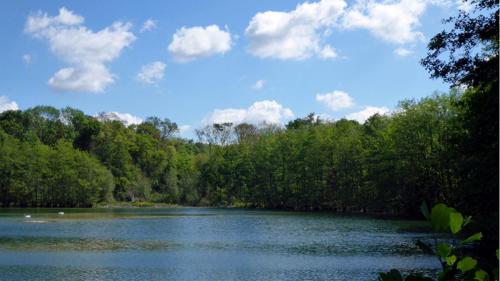 Erlachsee