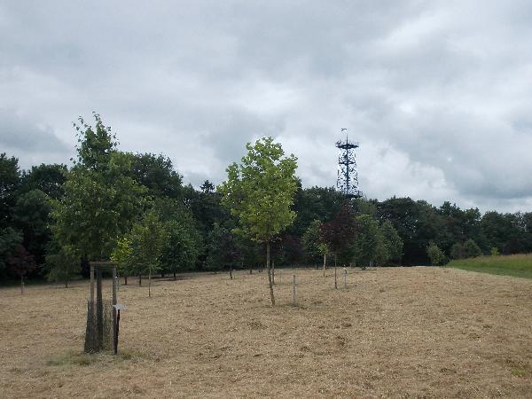 Ernst-Agnes-Turm in Schmölln
