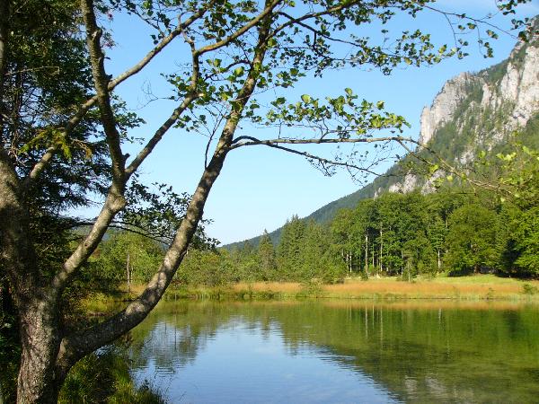Falkensee in Inzell