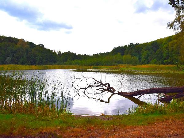 Fauler See