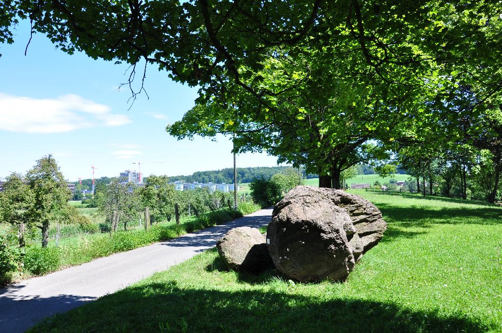 Findlingsgarten Kappenbühl