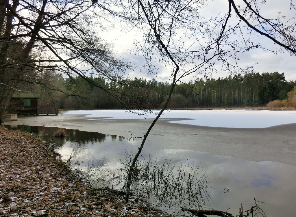 Flachweiher