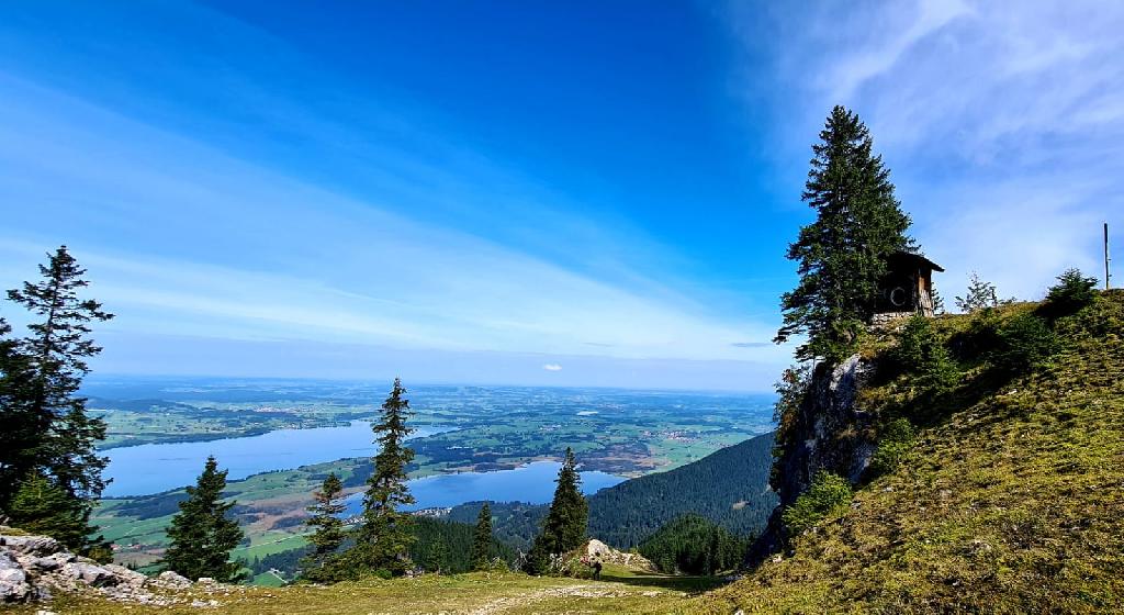 Forggenseeblick in Roßhaupten