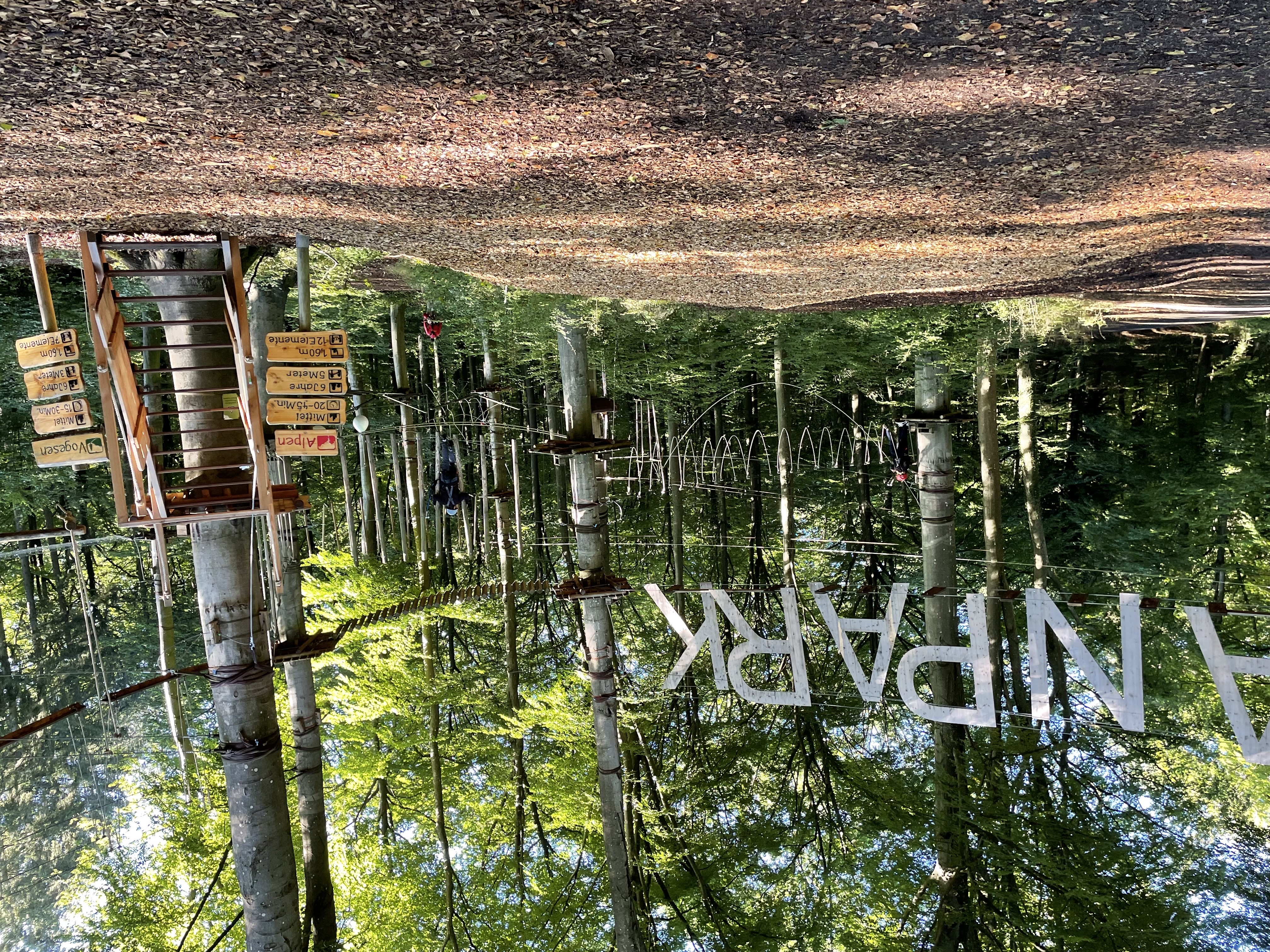 Freiraum Kletterwald Vulkanpark