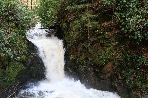 Geroldsauer Wasserfall in Baden-Baden