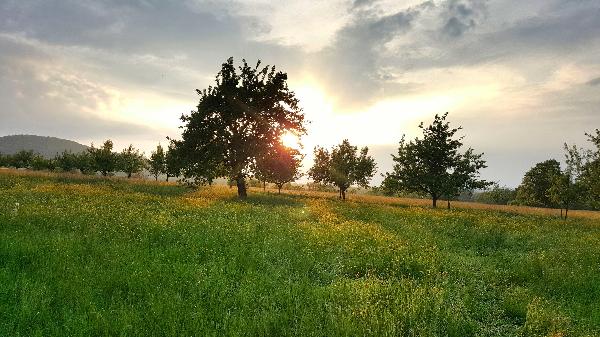 Grillplatz Bad Boll