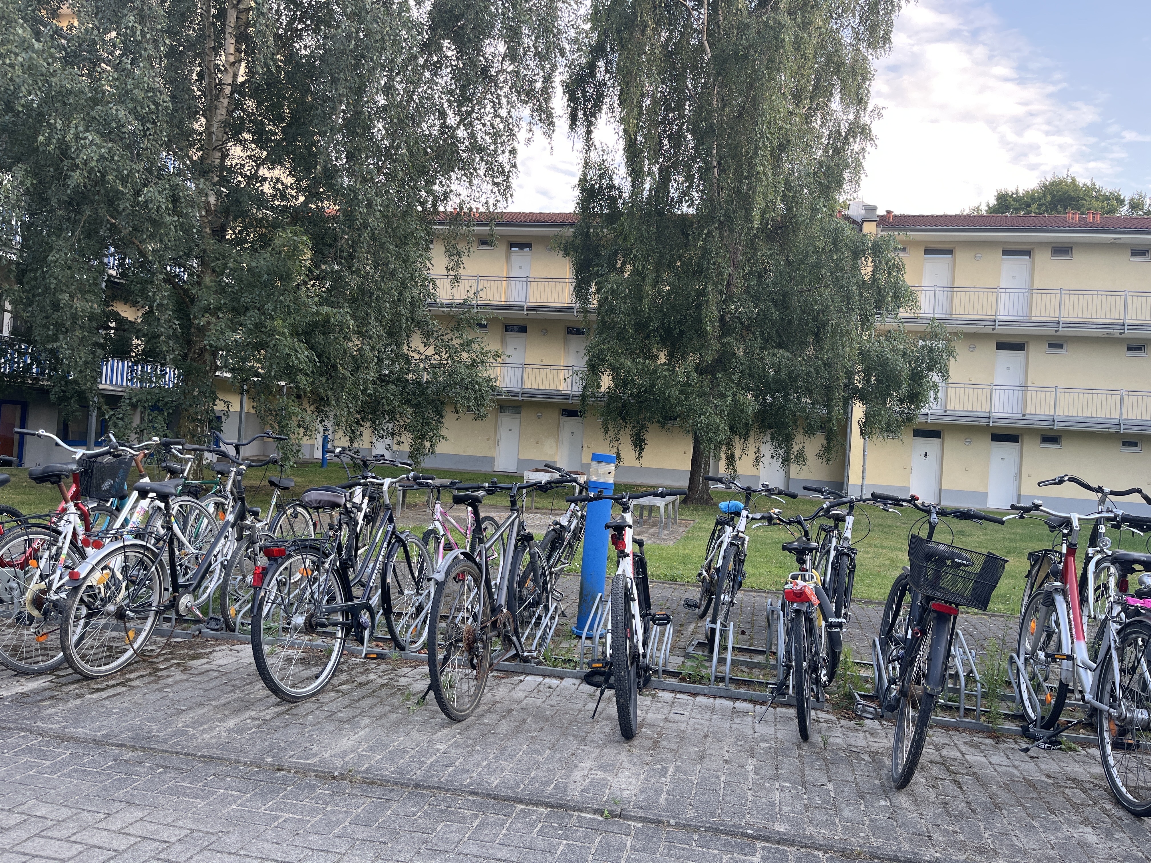 Grillplatz Greifswald in Greifswald