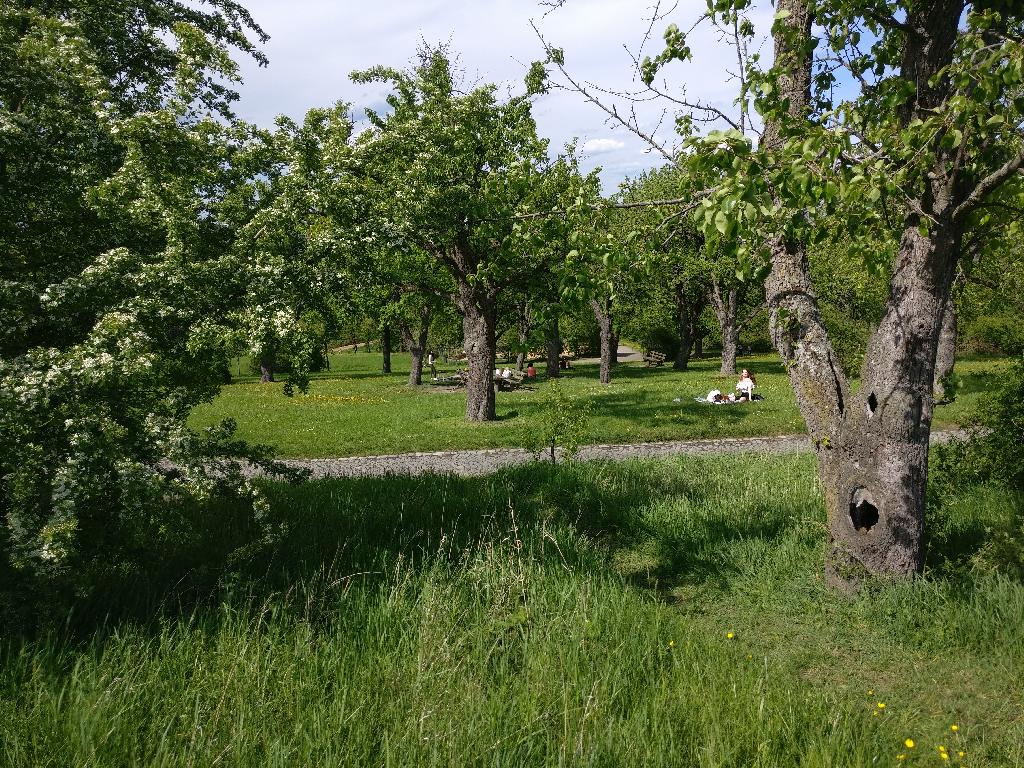 Grillplatz Schnarrenberg