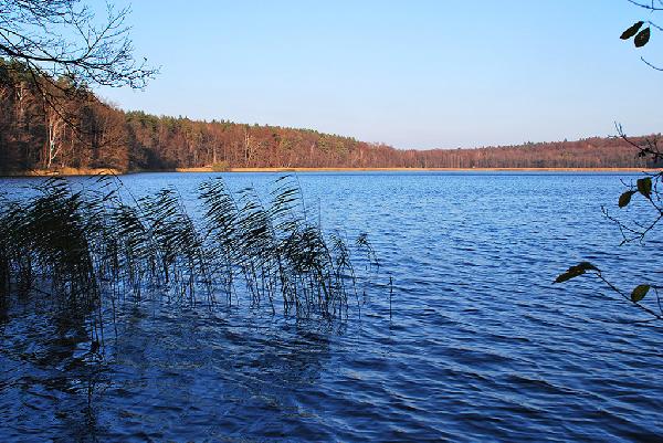 Großer Linowsee