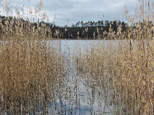 Großer Pätschsee