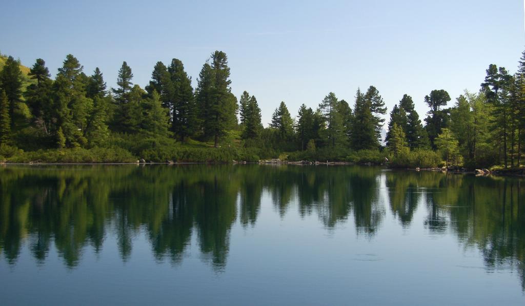 Großer Scheibelsee