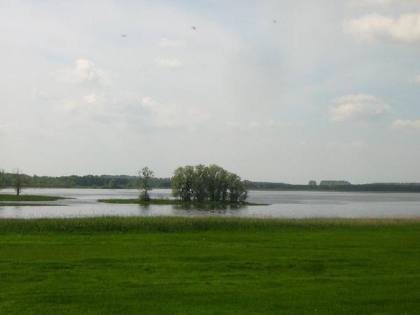 Gülper See in Havelaue