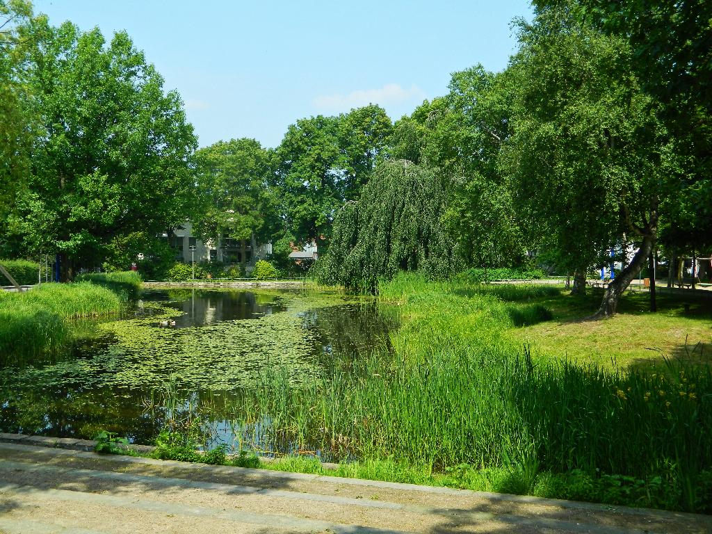 Hachedepark in Geesthacht