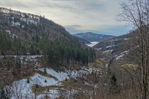 Hängetal des Stübenbachs in Todtnau