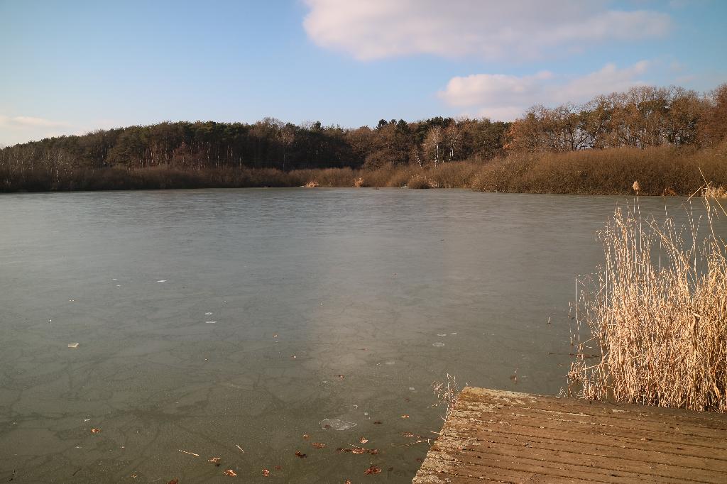 Harter Teich in Ebersdorf
