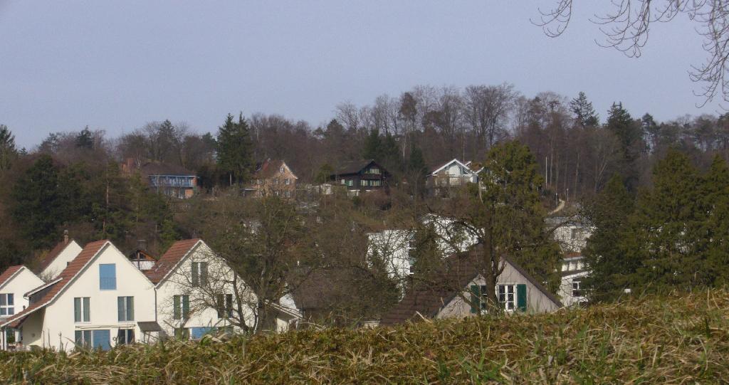 Hasenbüel in Bassersdorf