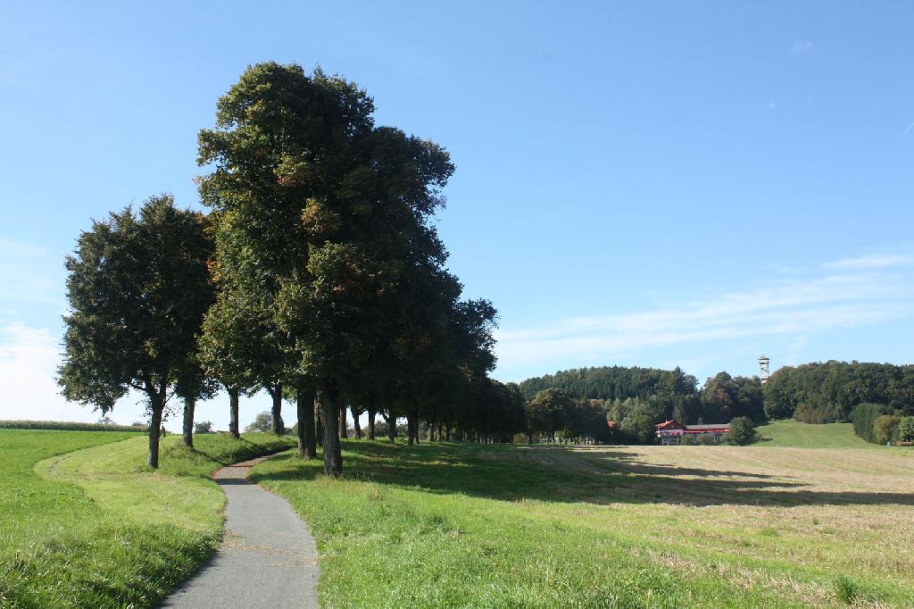 Heldenallee Ebersberg in Ebersberg