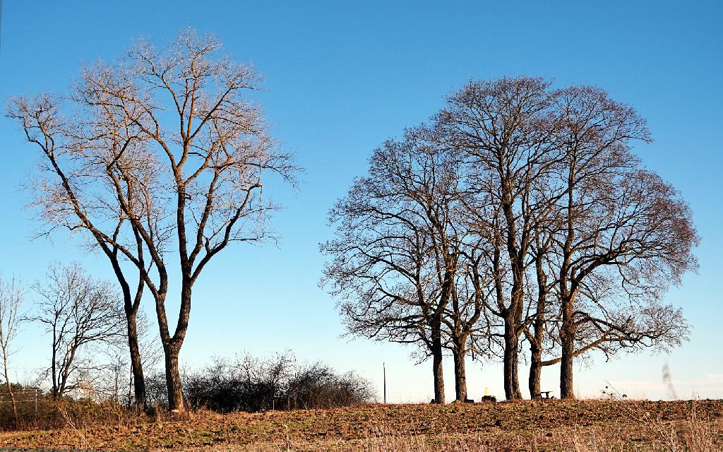 Henriettenplatz in Meiningen